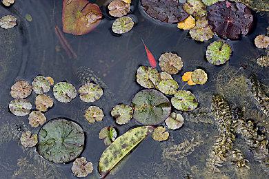 《博德之门3》Xbox版开发中 但遇到了技术问题